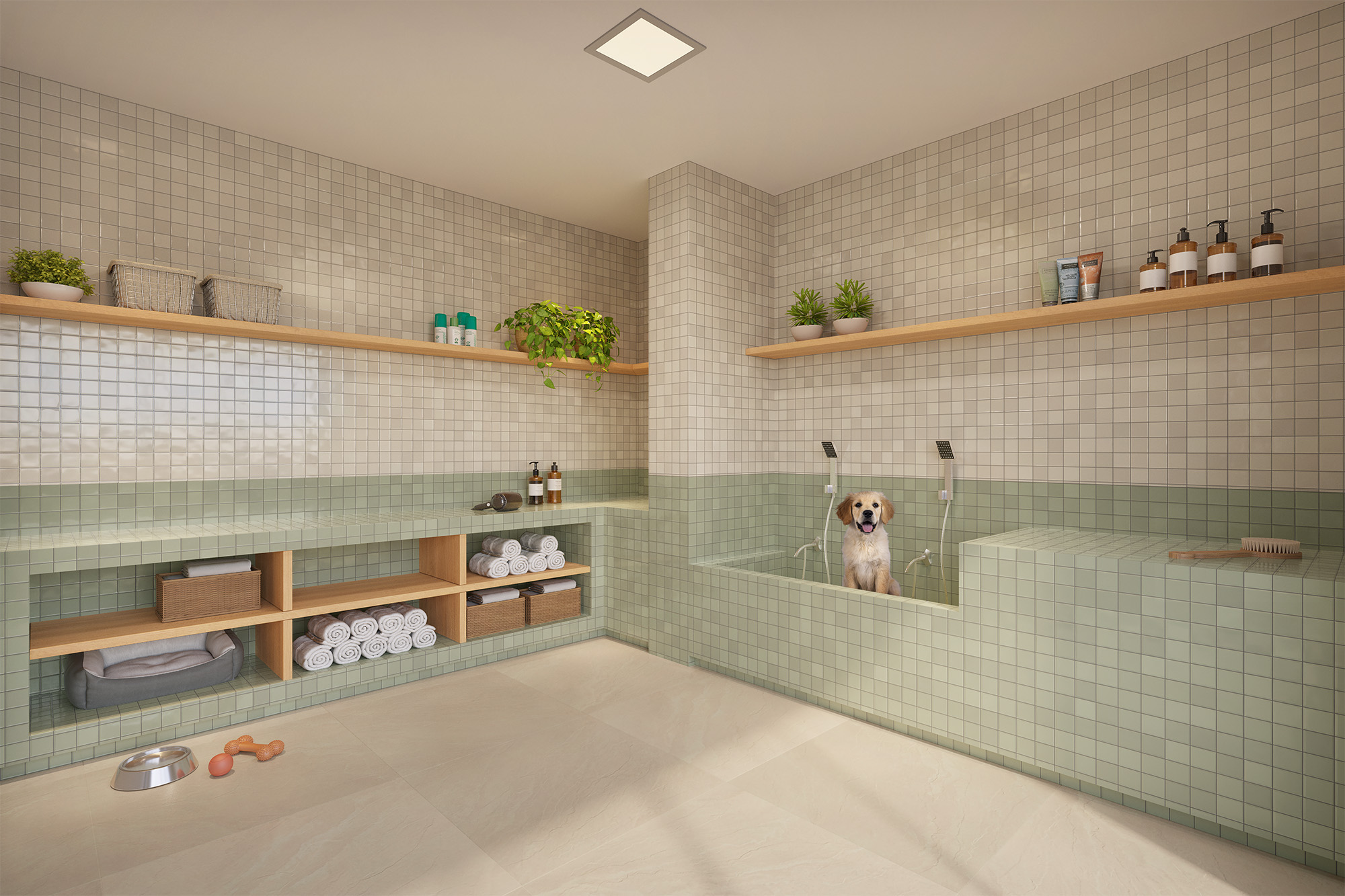 Espaço pet care