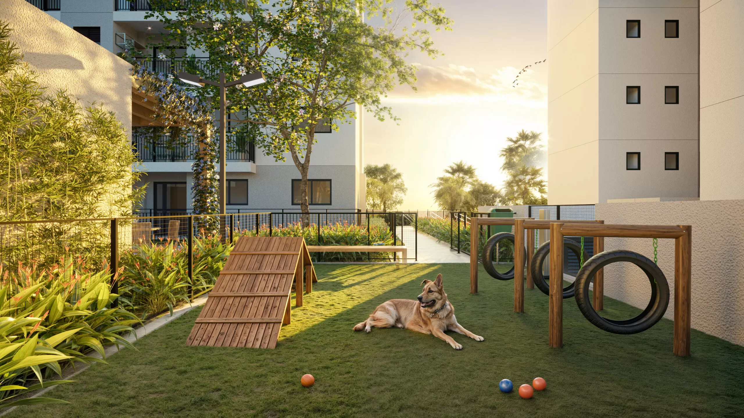 Pet place